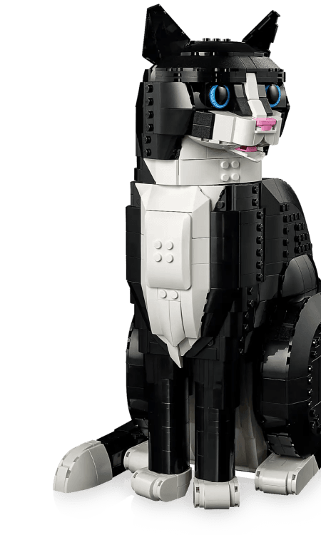 LEGO® Ideas Gifts and Toys