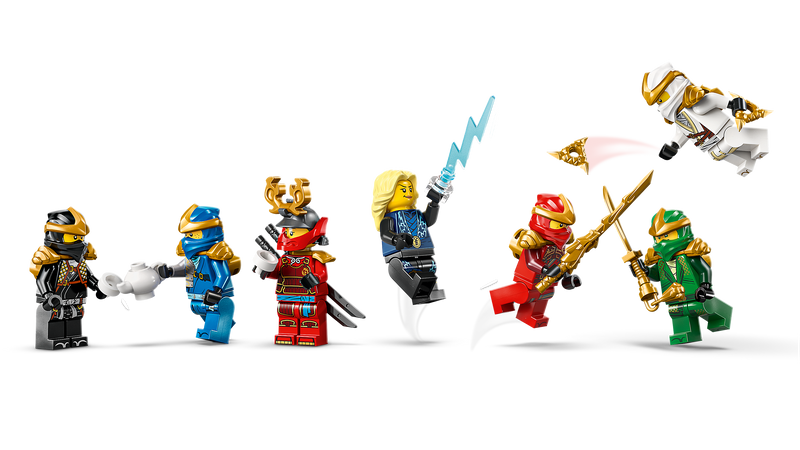 Ninja Character Display 15th Anniversary
