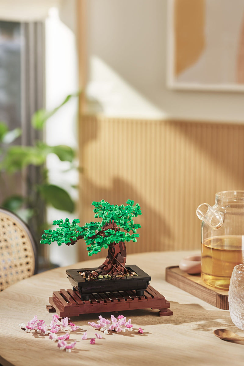 Bonsai Tree
