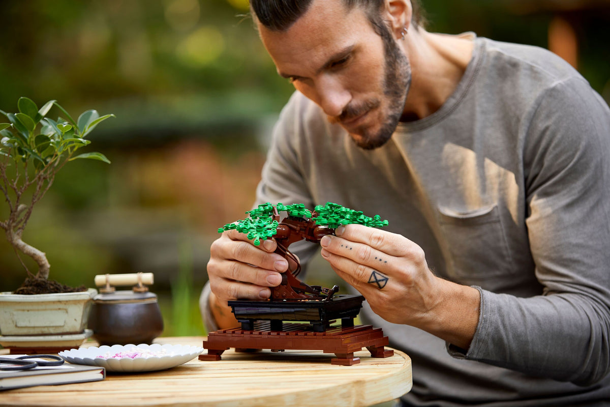 Bonsai Tree