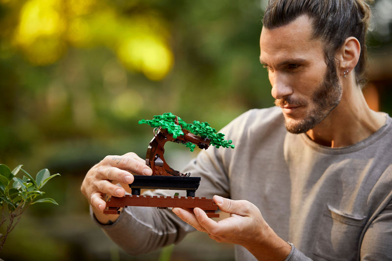 Bonsai Tree