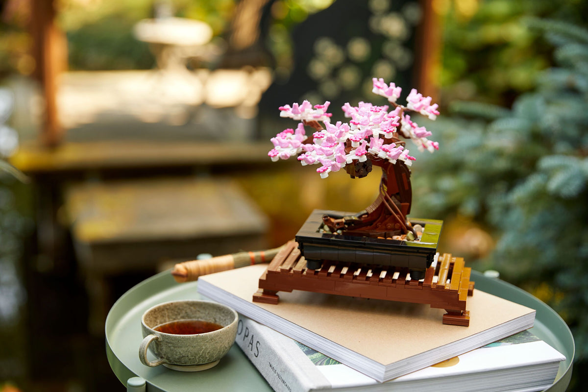 Bonsai Tree