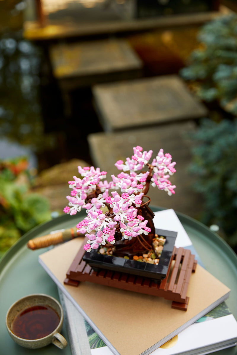 Bonsai Tree
