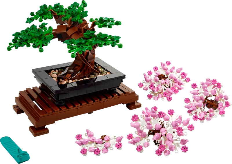 Bonsai Tree