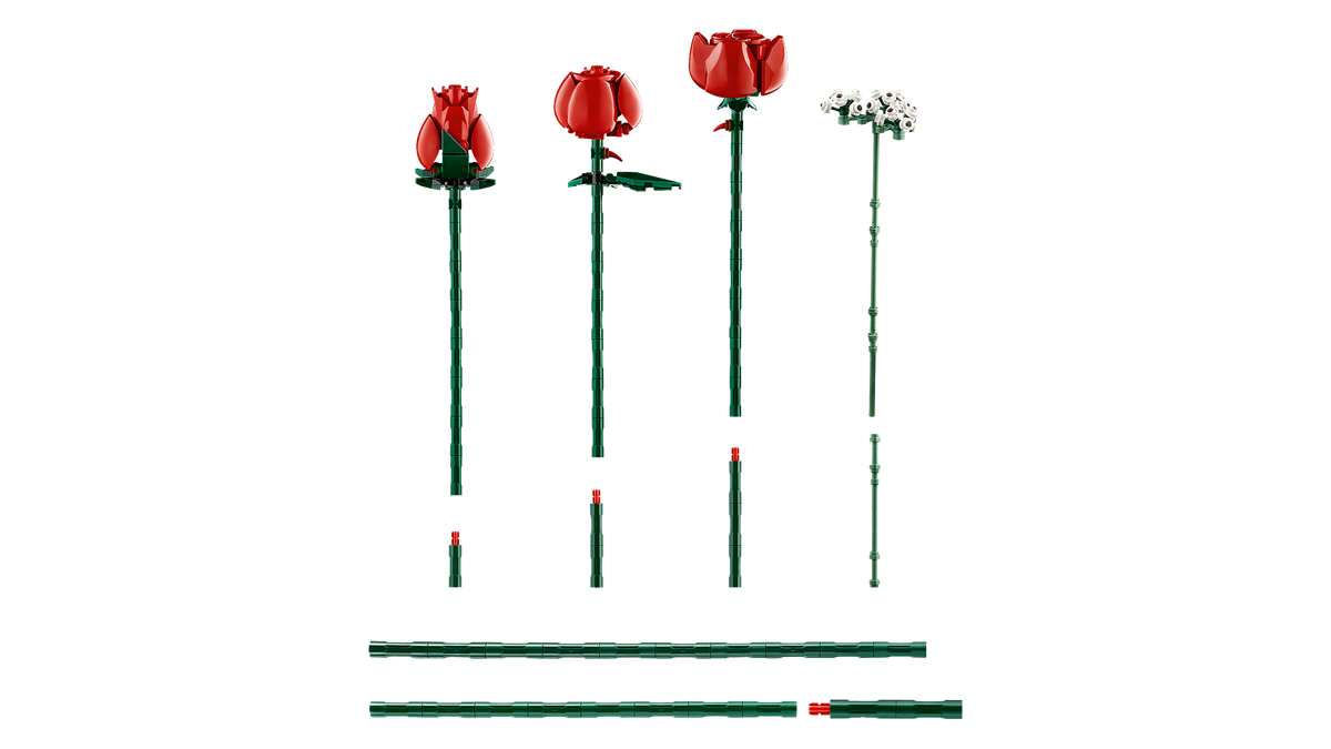 Bouquet of Roses