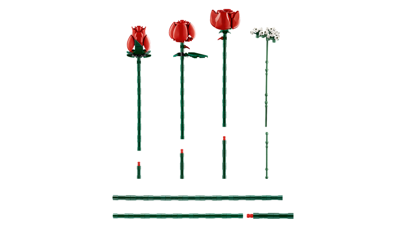 Bouquet of Roses