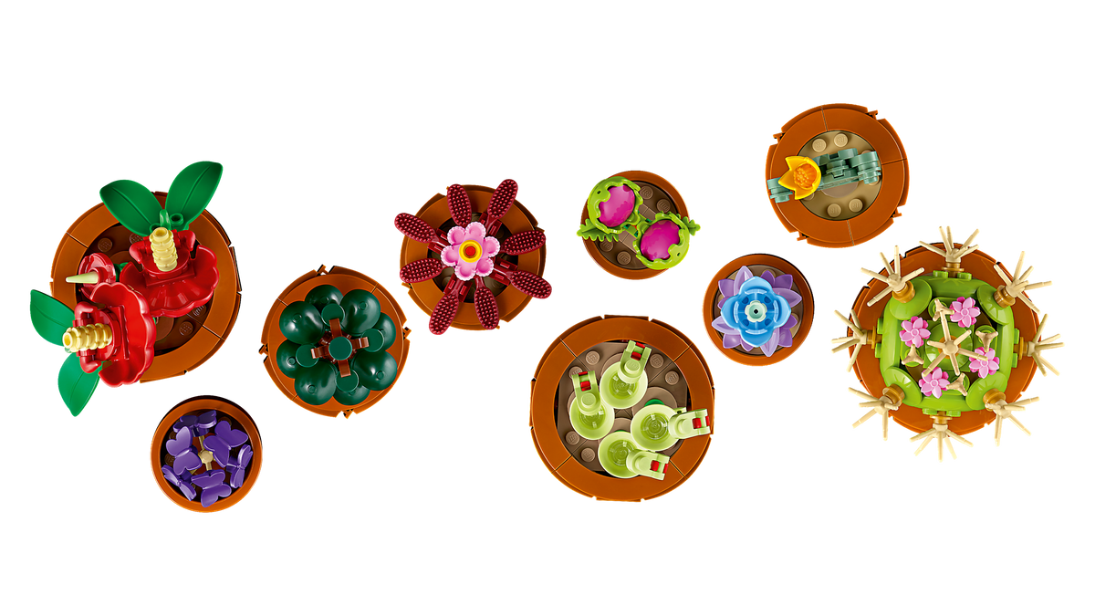 Tiny Plants