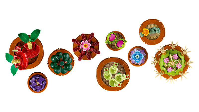 Tiny Plants