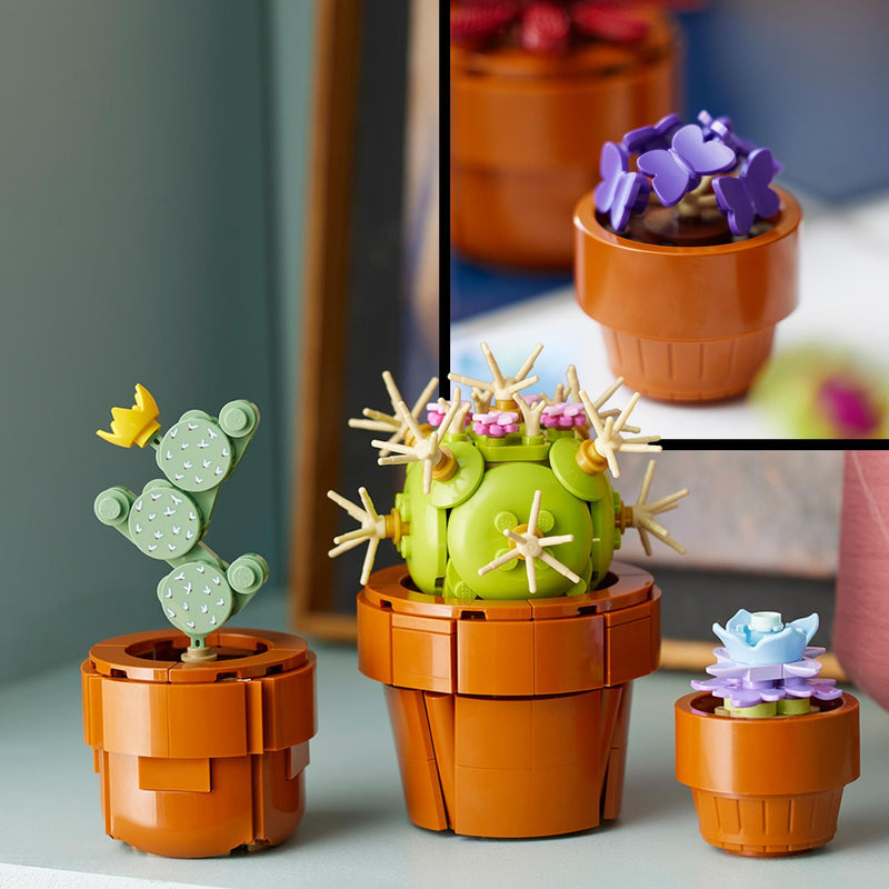 Tiny Plants