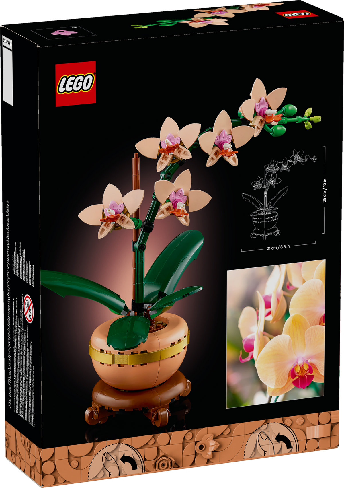Mini Orchid