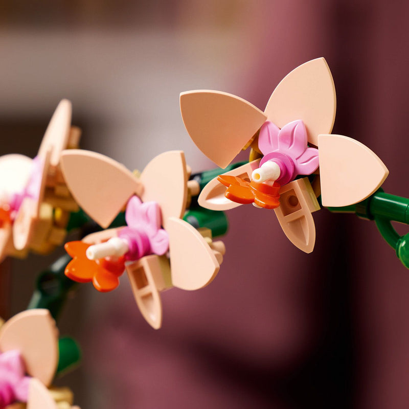 Mini Orchid