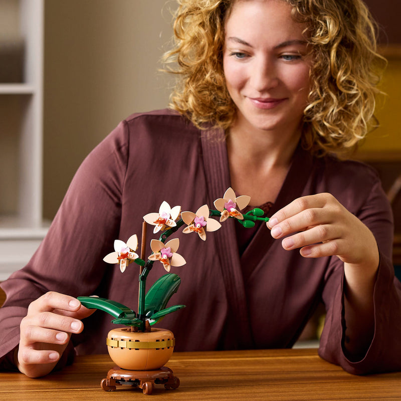 Mini Orchid