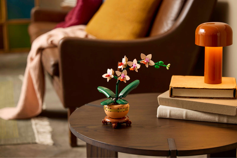 Mini Orchid