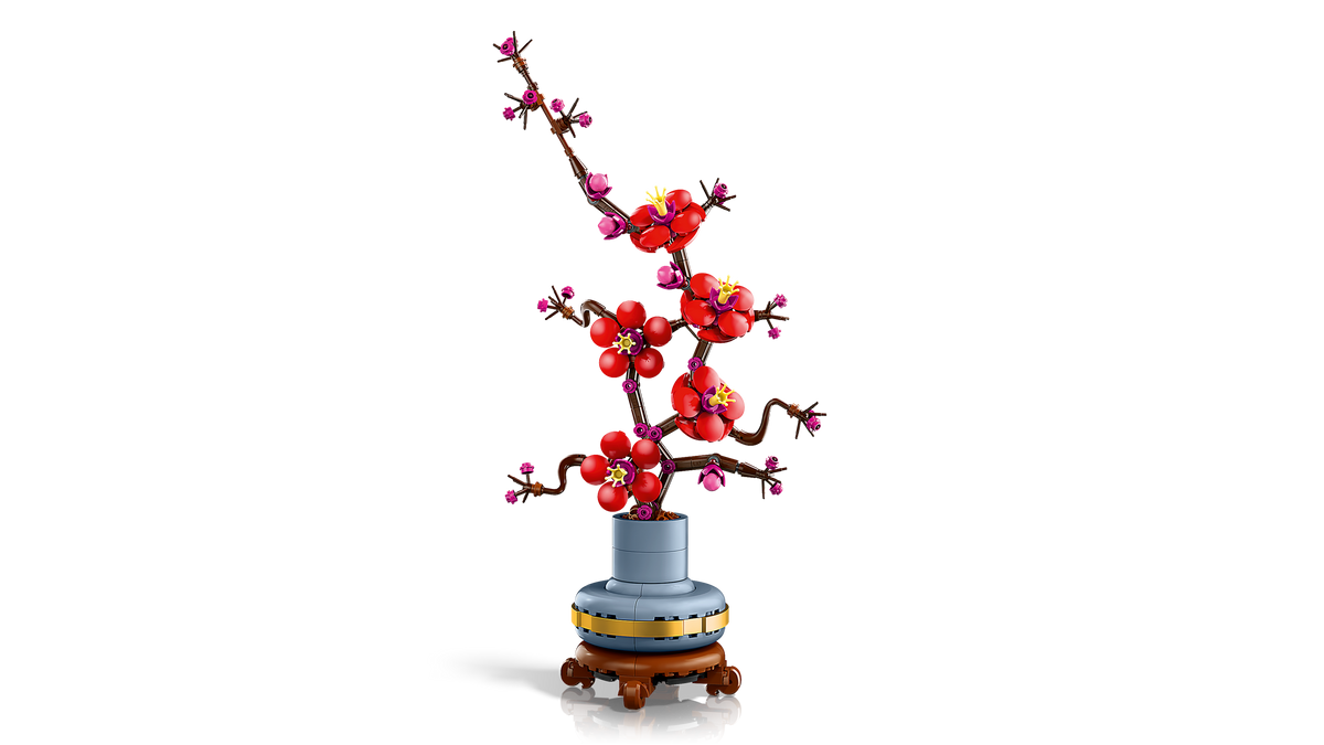 Plum Blossom