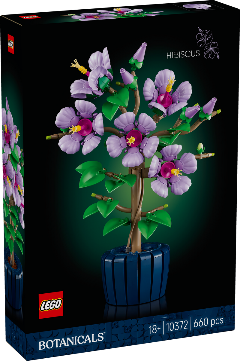 Hibiscus