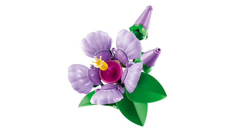 Hibiscus