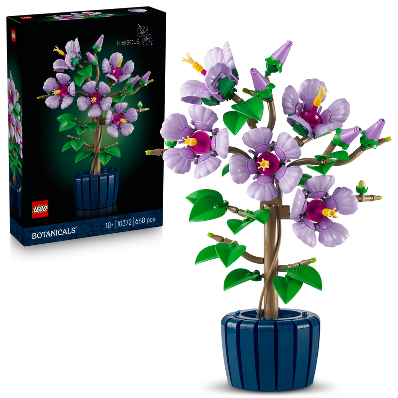 Hibiscus