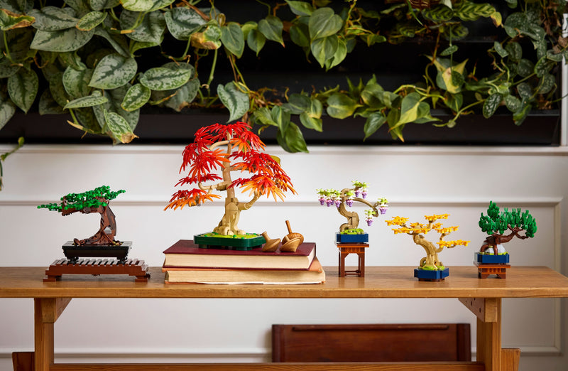 Mini Bonsai Trees