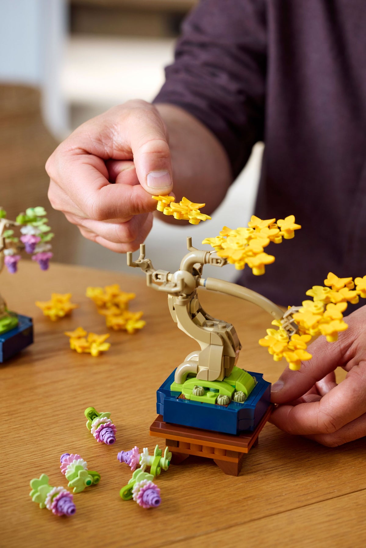 Mini Bonsai Trees