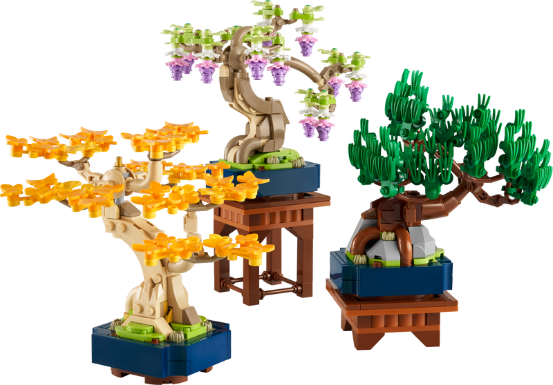 Mini Bonsai Trees