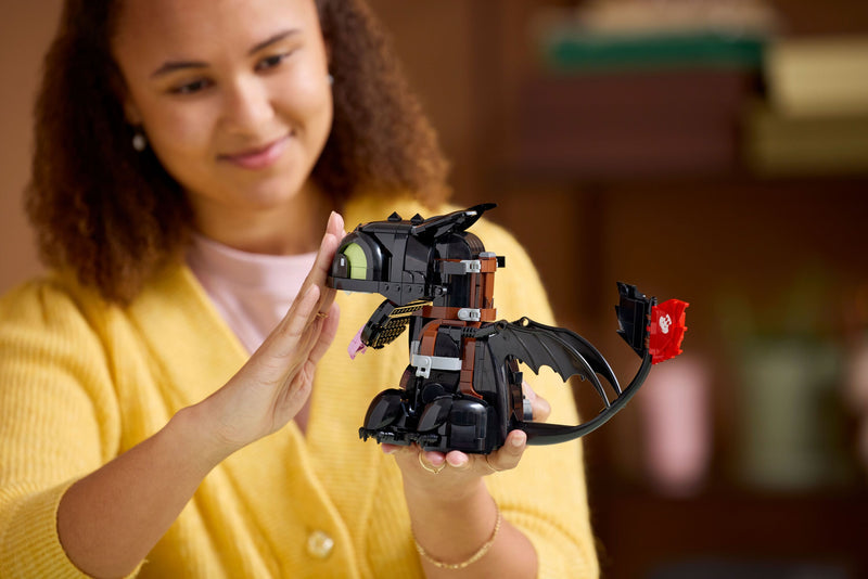 How to Train Your Dragon: Toothless