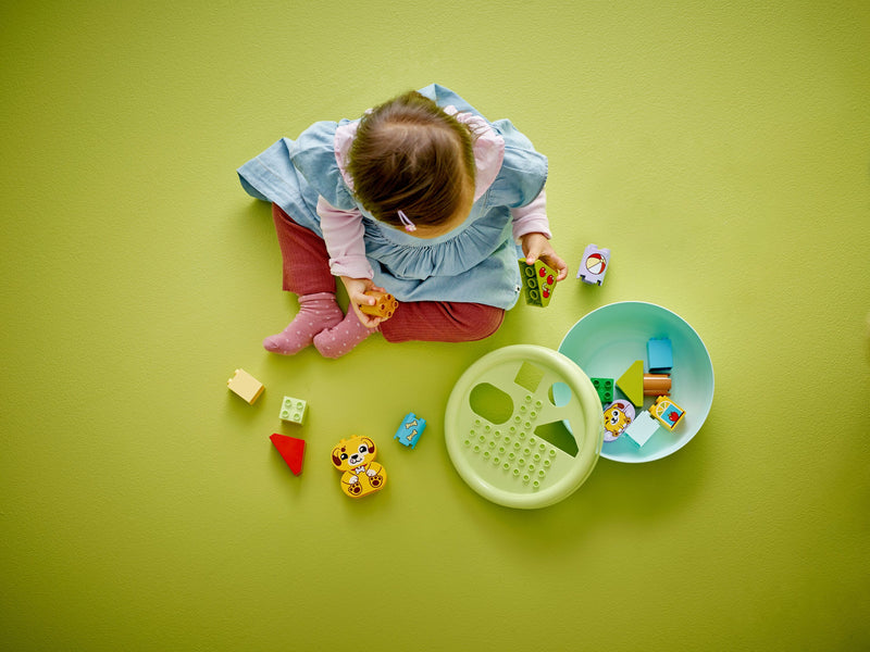 Shape Sorter: Puppy House
