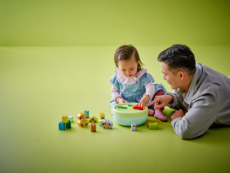 Shape Sorter: Puppy House