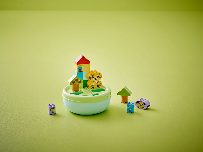 Shape Sorter: Puppy House