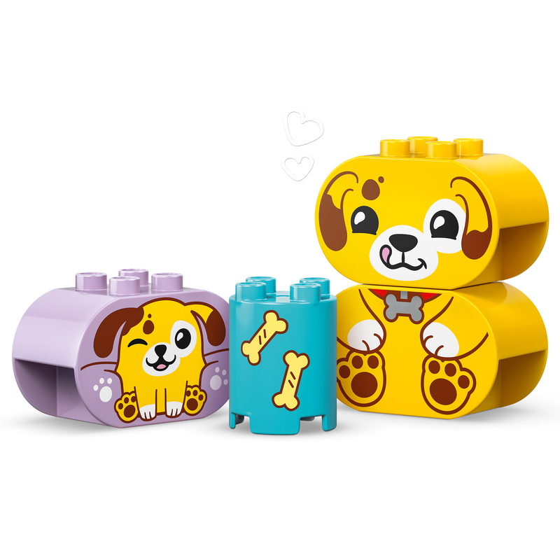 Shape Sorter: Puppy House