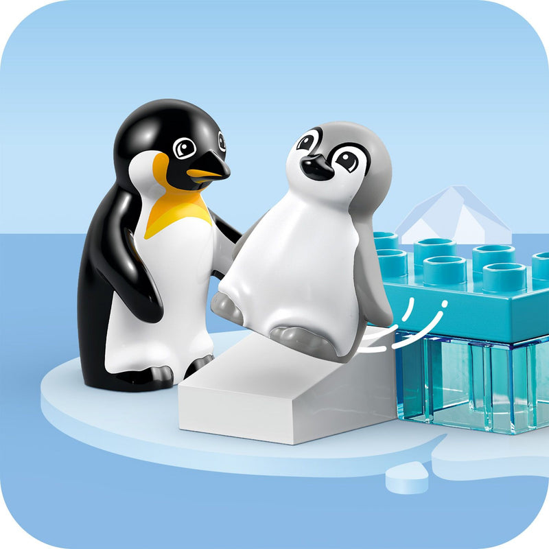 Wild Animal Families: Penguins & Lions