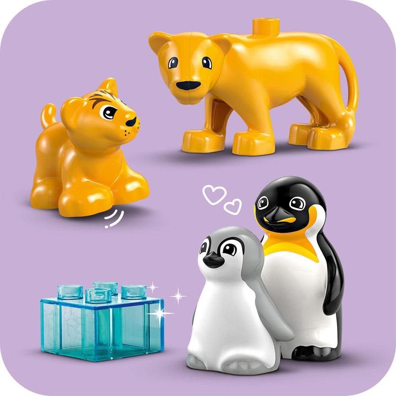 Wild Animal Families: Penguins & Lions