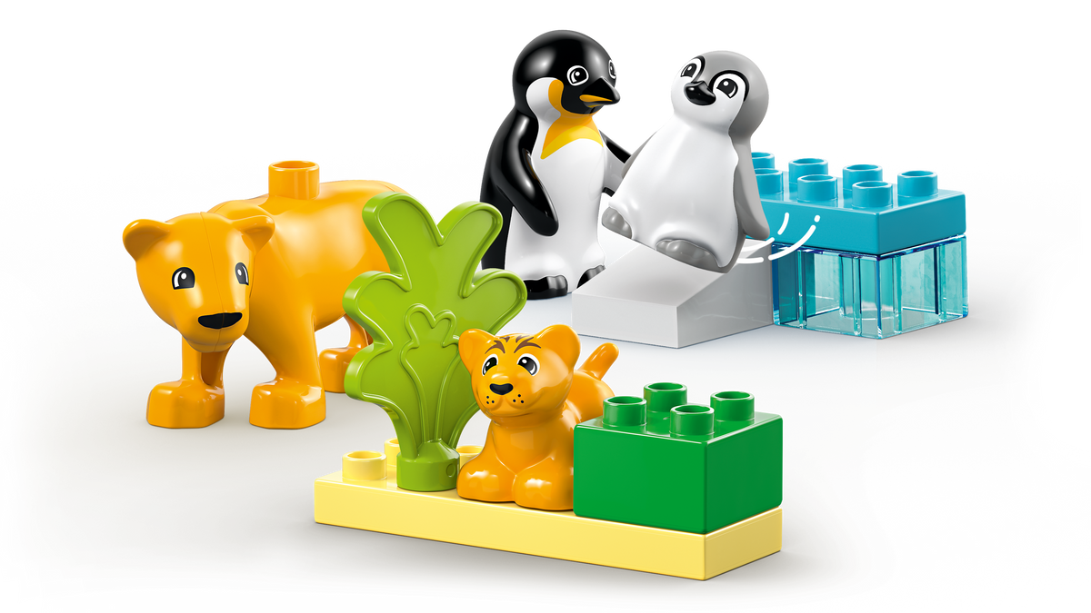 Wild Animal Families: Penguins & Lions