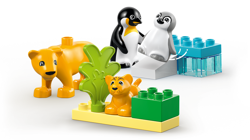 Wild Animal Families: Penguins & Lions