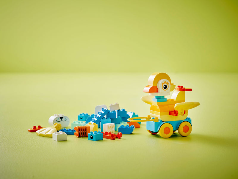 3 in 1 Animals on Wheels