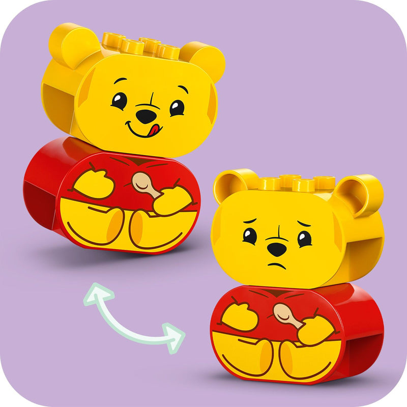 Winnie the Pooh's Birthday Party