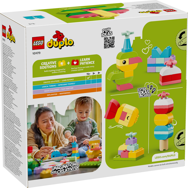 Colorful Creative Box