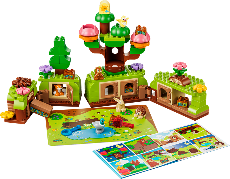 Discovery Forest with Wild Animals