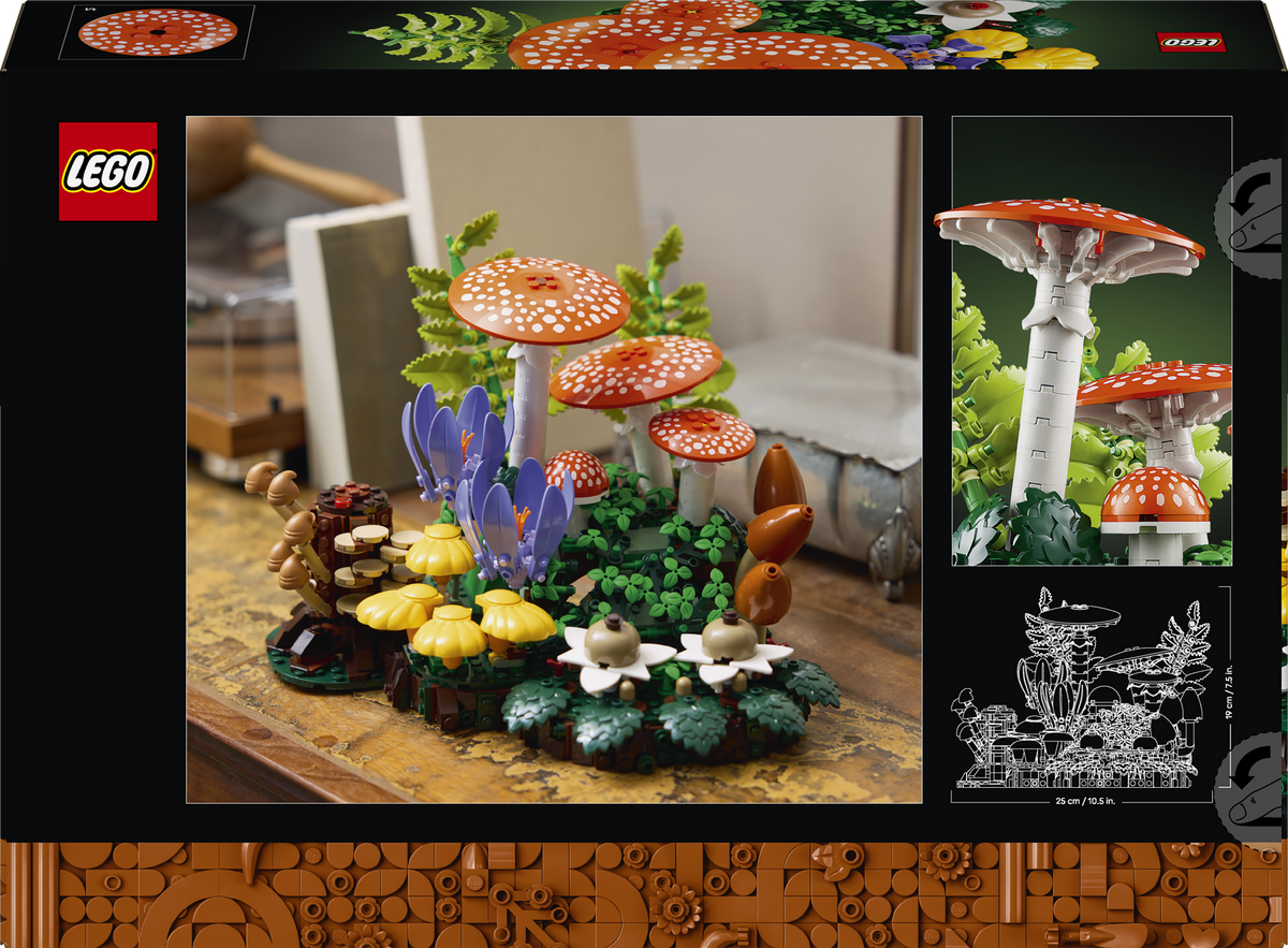 Woodland Mushrooms