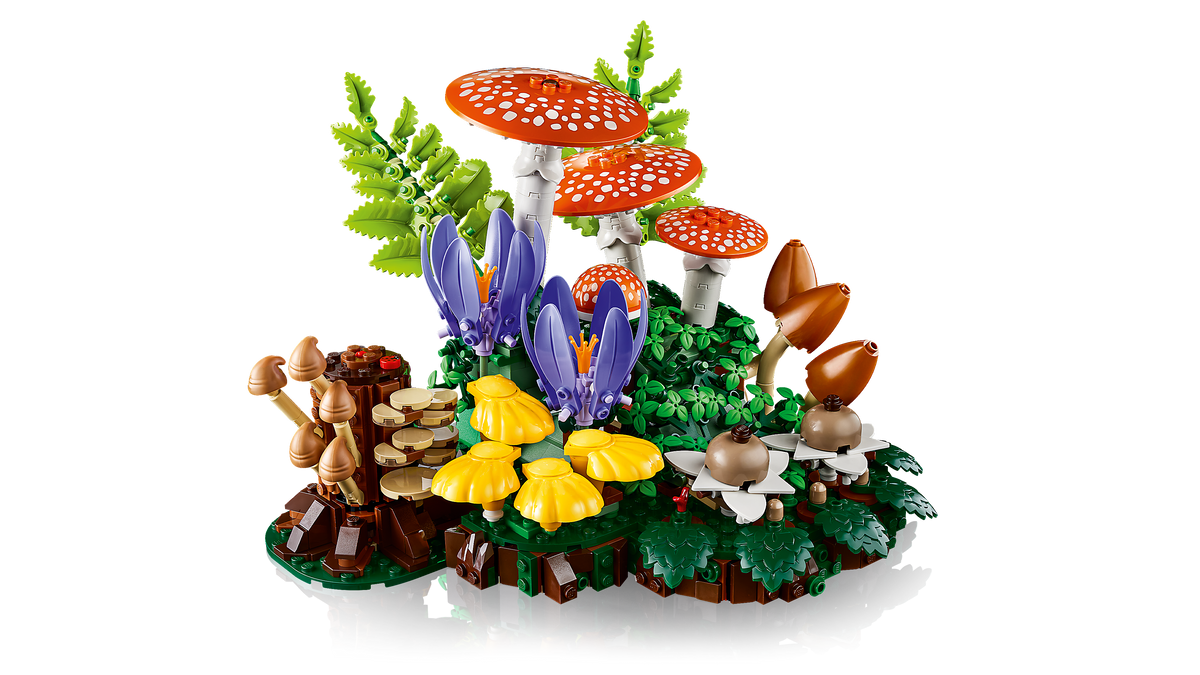 Woodland Mushrooms