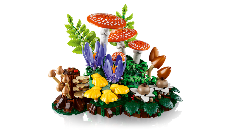 Woodland Mushrooms