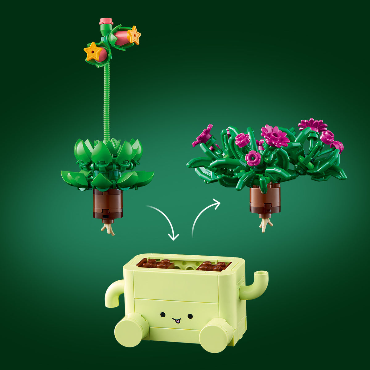 Rocking Plants