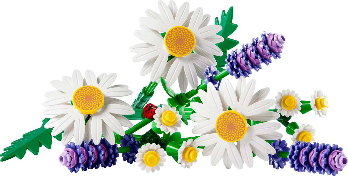 Daisies