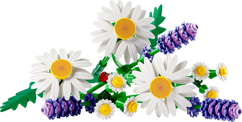 Daisies