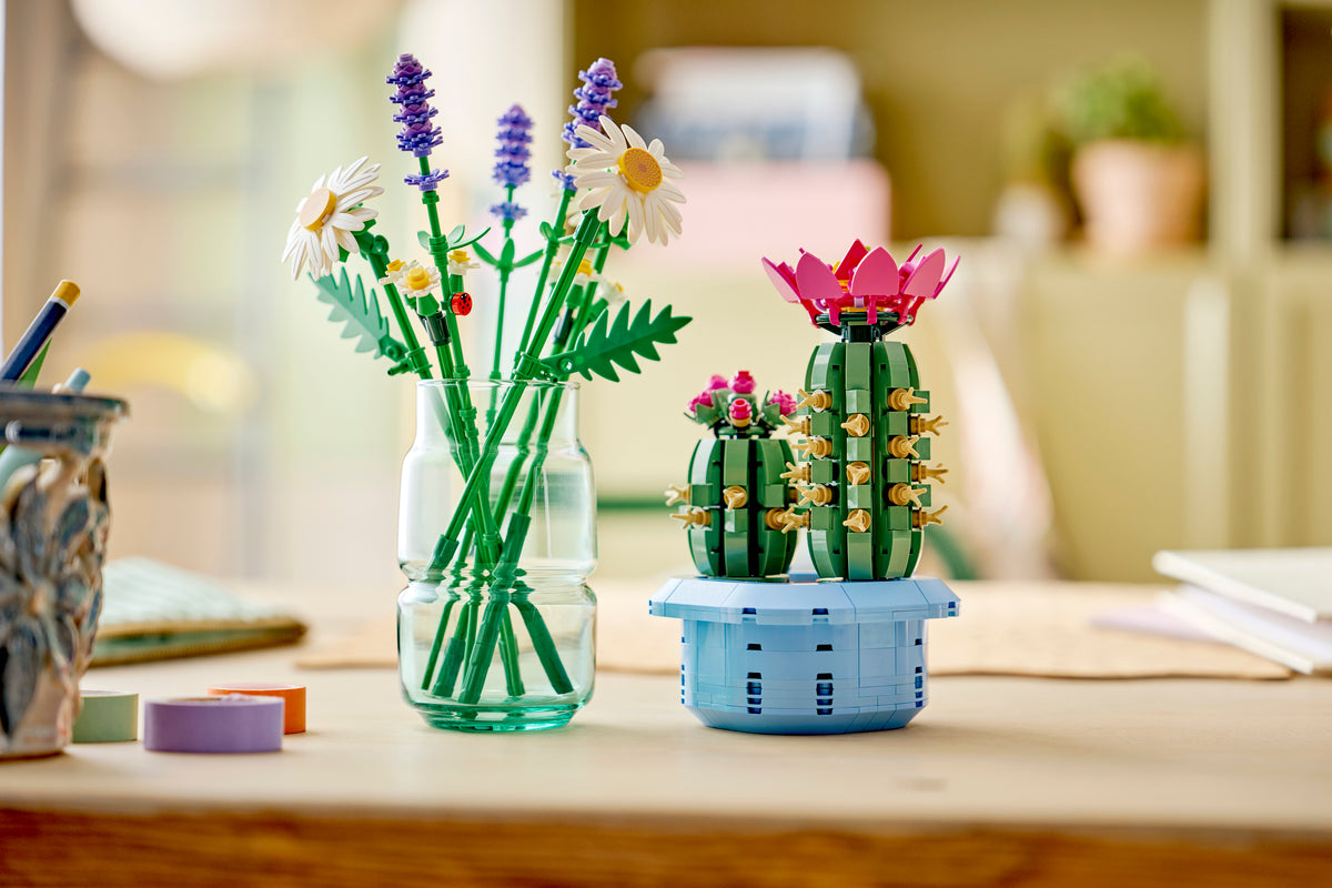 Daisies