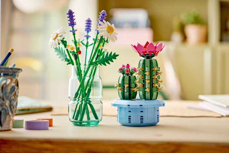 Daisies