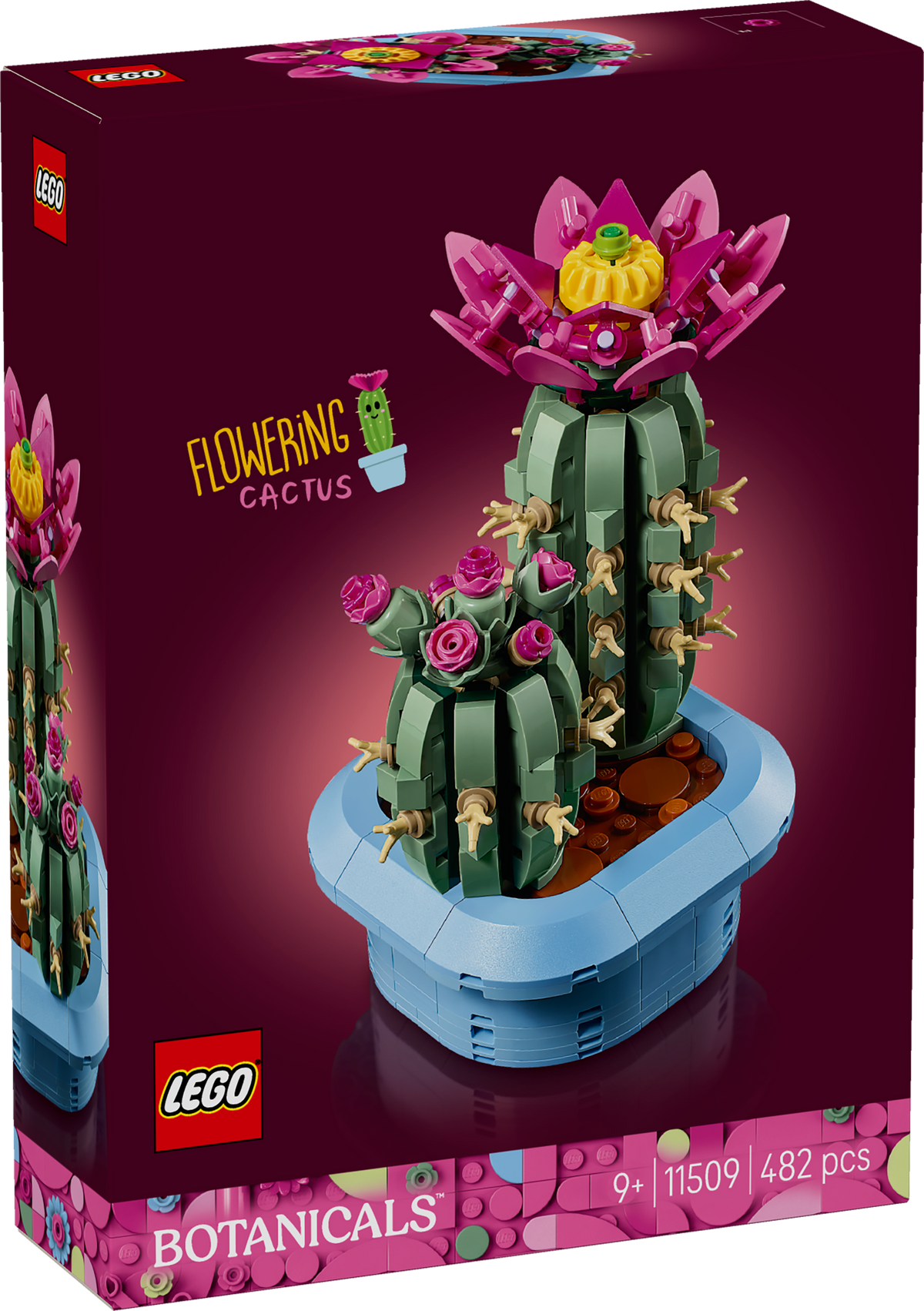 Flowering Cactus