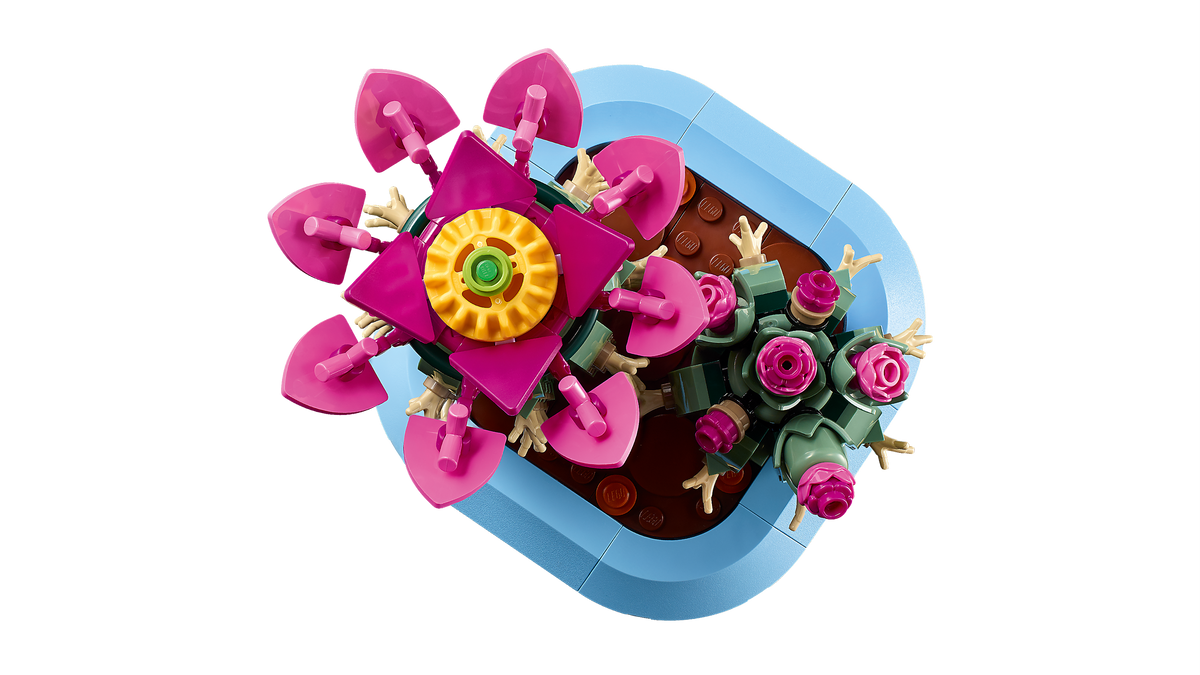 Flowering Cactus