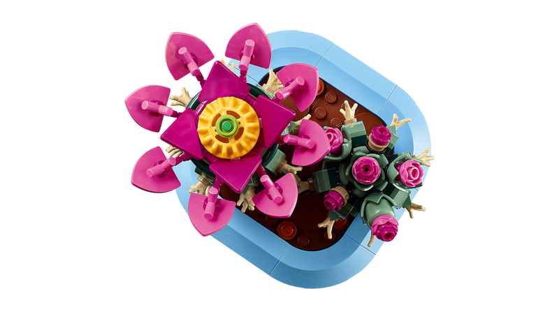 Flowering Cactus