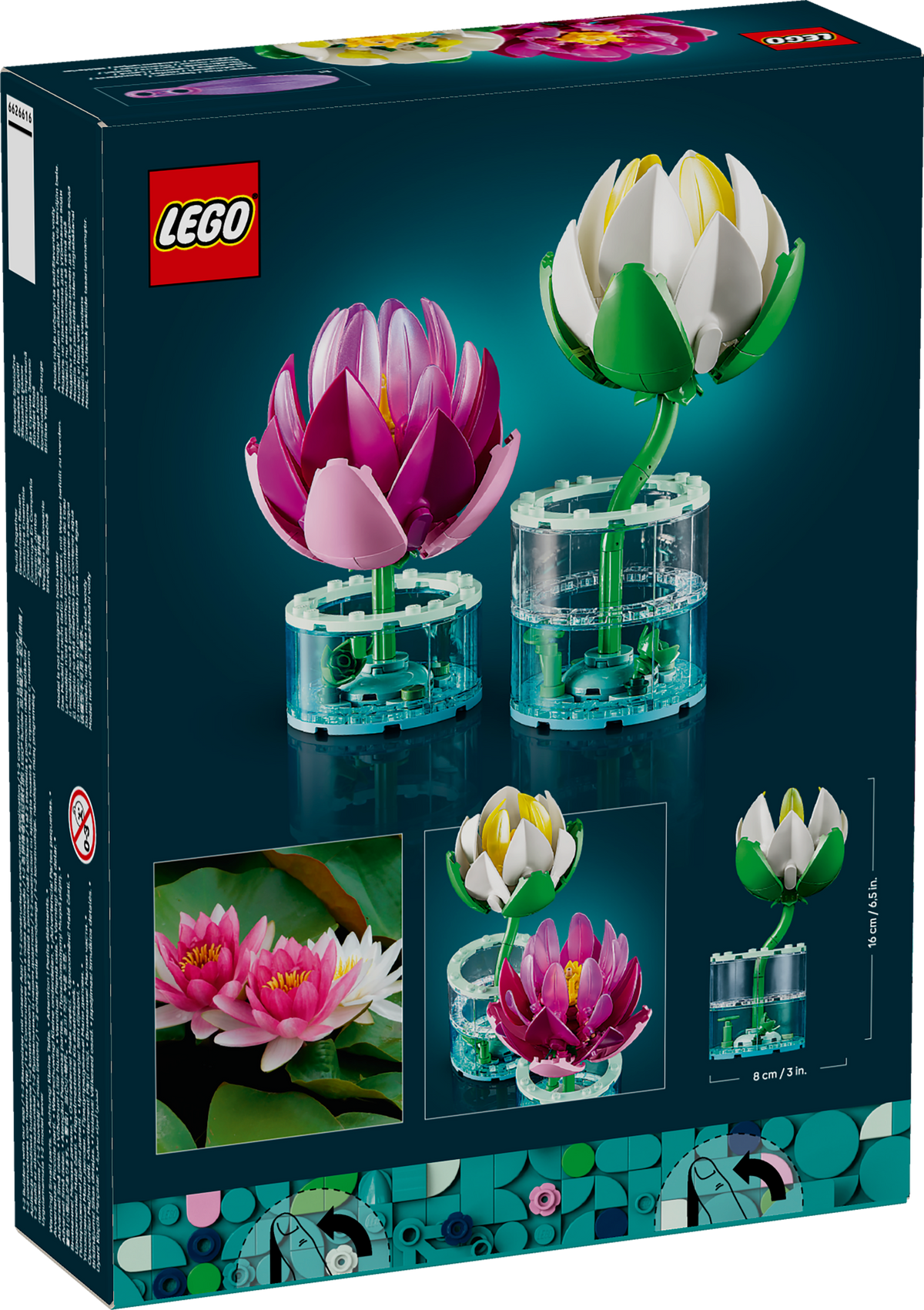 Water Lilies