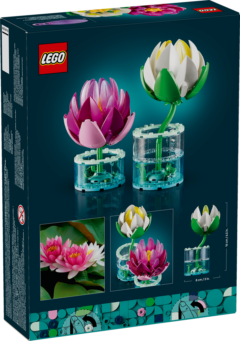 Water Lilies